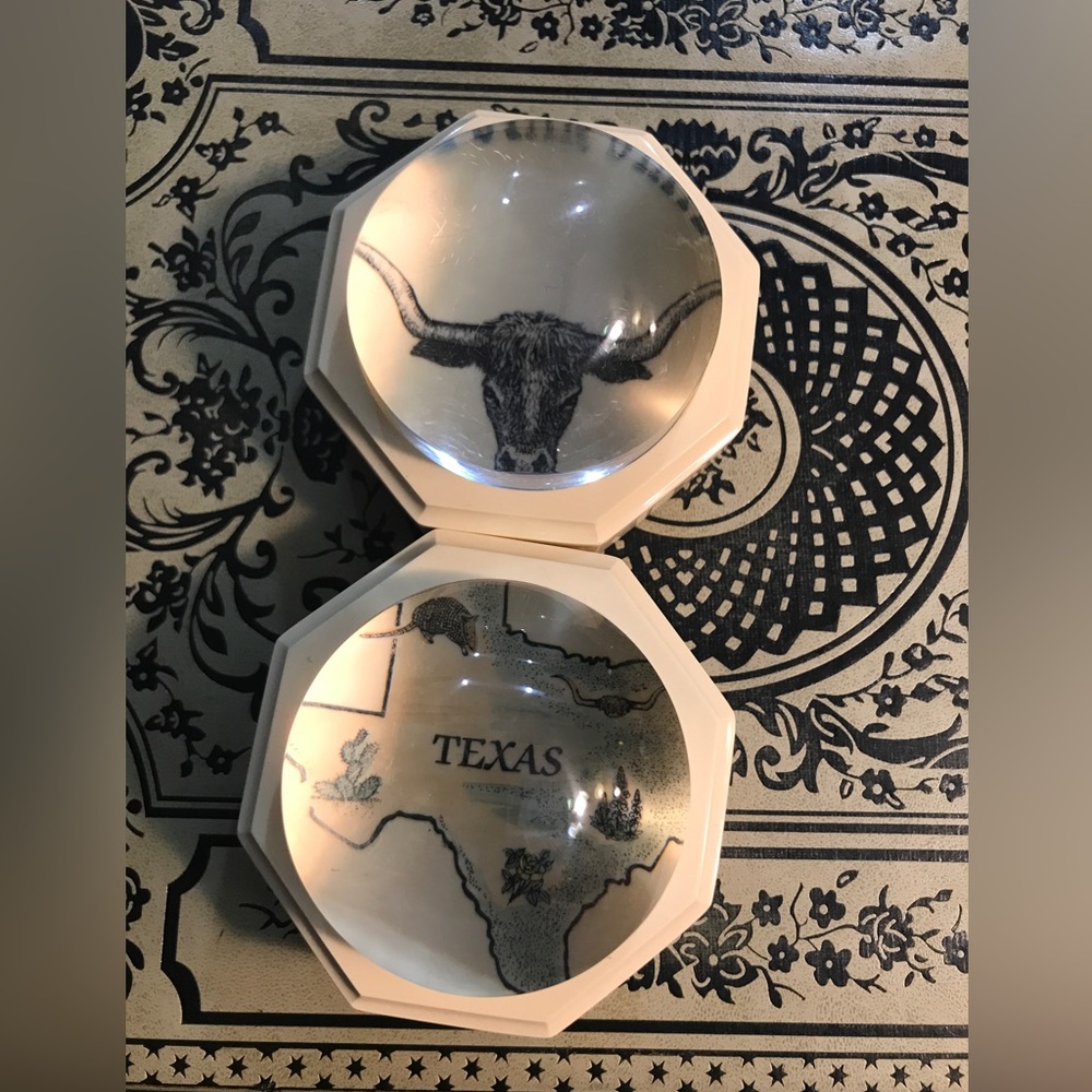 Texas and Longhorn Barlow domed paperweights vintage USA armadillo cactus lucite